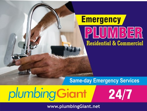 Comprehensive solution for Ballard detecting leaks in WA near 98117