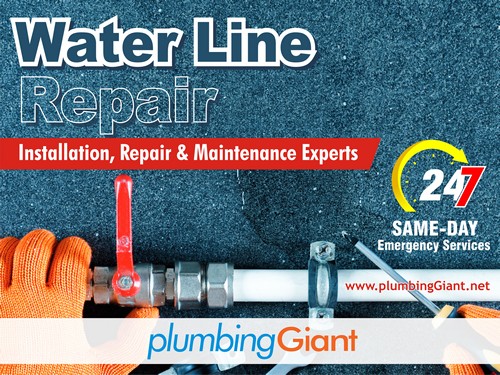 Emergency Issaquah water leak detection in WA near 98029