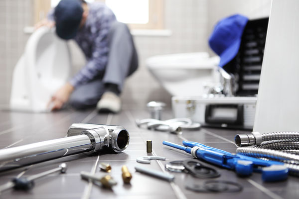Professional Olympia plumbers in WA near 98501